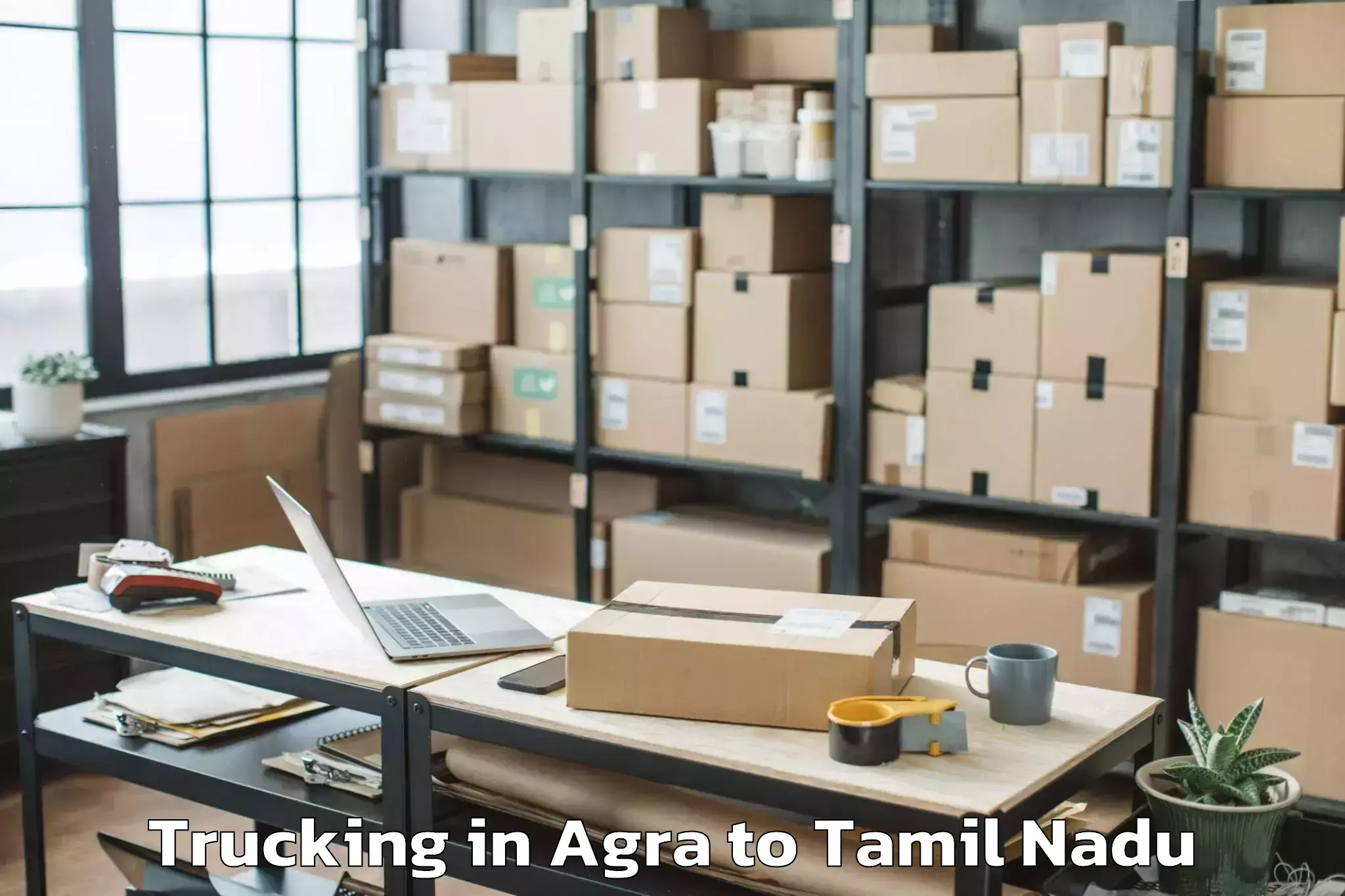 Affordable Agra to Manapparai Trucking